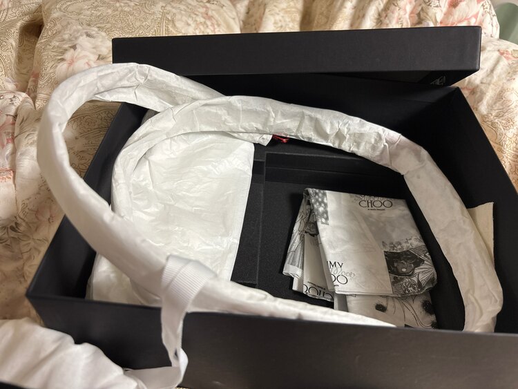 ジミーチュウ  （ブランドバッグ）の商品画像 - 査定依頼日：2025年1月6日 - 最高査定価格：195,000円