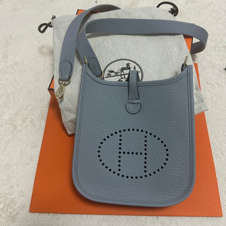 エブリン16（ブランドバッグ）の商品画像 - 査定依頼日：2025年4月28日 - 最高査定価格：380,000円