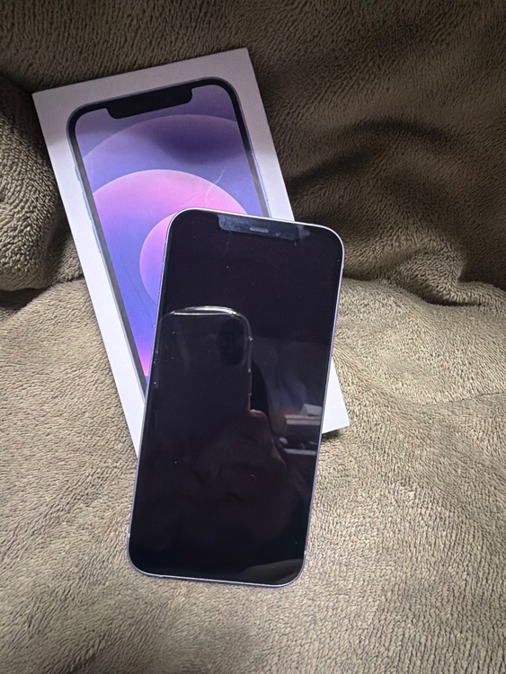 iPhone（スマホ）の商品画像 - 査定依頼日：2026年3月2日 - 最高査定価格：24,000円