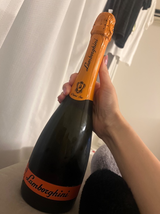 シャンパン シャンパン(その他) （お酒）の商品画像 - 査定依頼日：2025年8月11日 - 最高査定価格：500円