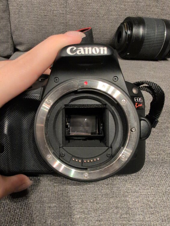 Eos Kiss X7（カメラ）の商品画像 - 査定依頼日：2026年6月16日 - 最高査定価格：20,000円