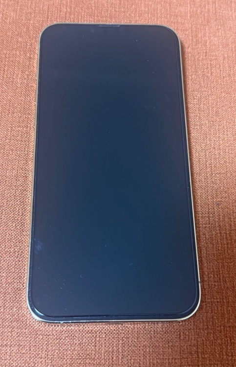 iPhone 13 Pro Max 256GB SIMフリー（スマホ）の商品画像 - 査定依頼日：2026年2月27日 - 最高査定価格：61,000円