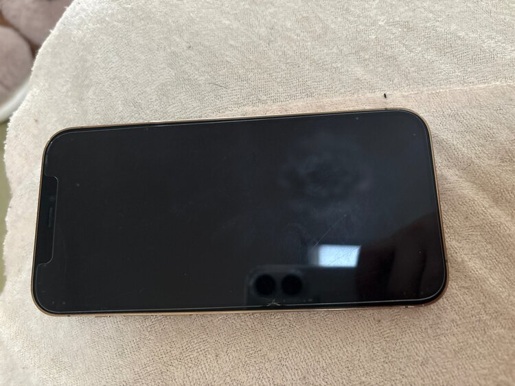 iPhone 12 Pro 256GB SIMフリー（スマホ）の商品画像 - 査定依頼日：2025年2月26日 - 最高査定価格：44,000円