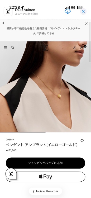 ルイヴィトン ルイヴィトン(その他)（ブランドバッグ）の商品画像 - 査定依頼日：2026年7月23日 - 最高査定価格：250,000円