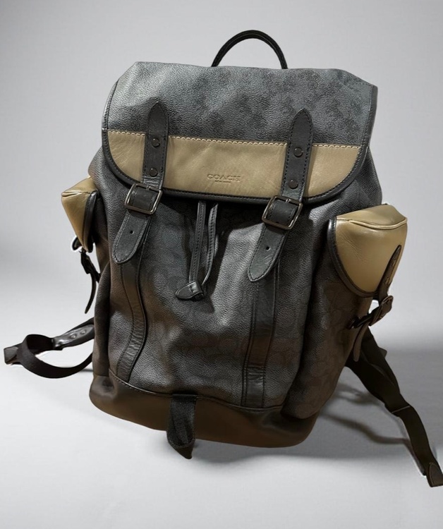 その他 コーチ （ブランドバッグ）の商品画像 - 査定依頼日：2025年12月6日 - 最高査定価格：4,000円