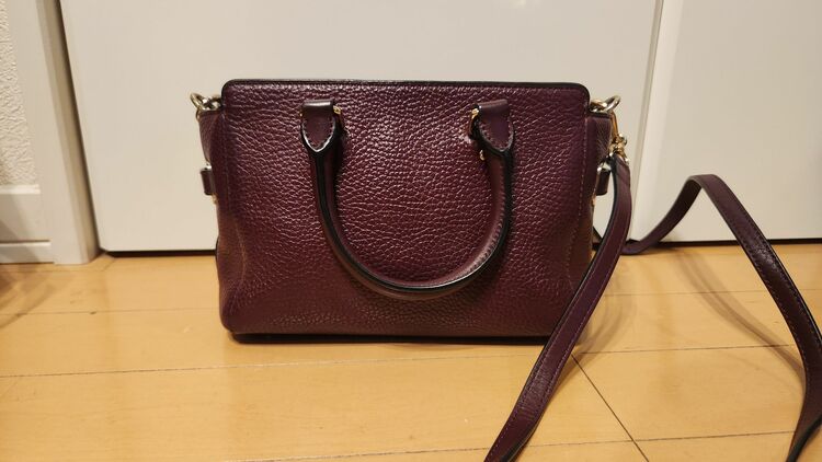 F37635（ブランドバッグ）の商品画像 - 査定依頼日：2025年9月21日 - 最高査定価格：2,500円