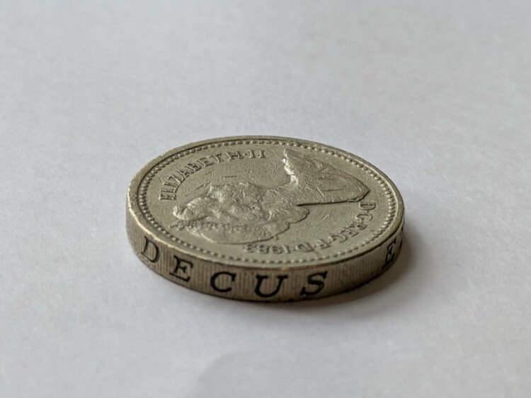 エリザベス硬貨1ポンド1983年（金・貴金属）の商品画像 - 査定依頼日：2026年4月21日 - 最高査定価格：100円