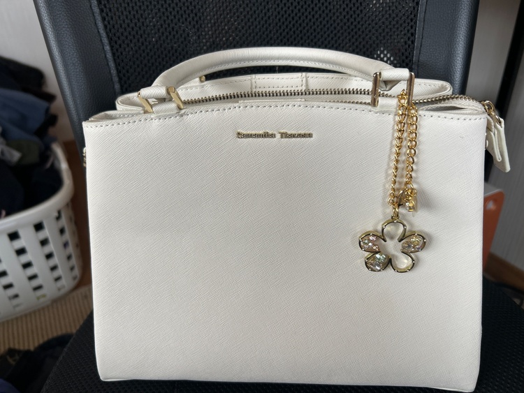 その他 サマンサタバサ （ブランドバッグ）の商品画像 - 査定依頼日：2026年4月5日 - 最高査定価格：100,000円