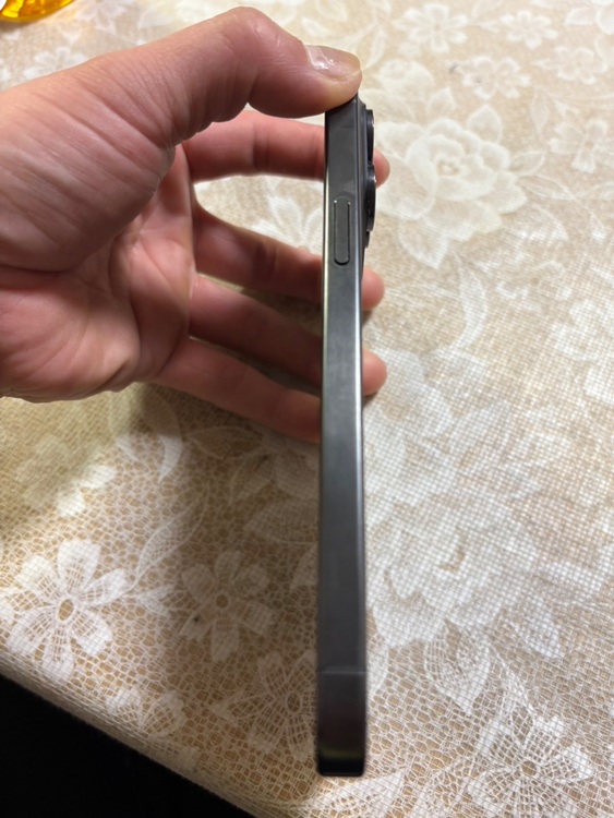 iPhone 15 Pro Max 256GB SIMフリー（スマホ）の商品画像 - 査定依頼日：2025年11月8日 - 最高査定価格：113,000円