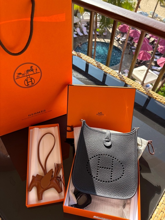 ミニエヴリン16 アマゾーヌ （ブランドバッグ）の商品画像 - 査定依頼日：2025年12月17日 - 最高査定価格：400,000円