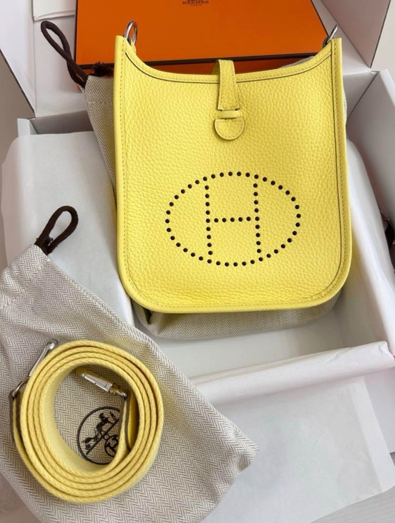 ミニエブリン（ブランドバッグ）の商品画像 - 査定依頼日：2025年8月19日 - 最高査定価格：350,000円