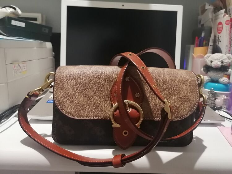 ショルダーバッグ（ブランドバッグ）の商品画像 - 査定依頼日：2025年7月17日 - 最高査定価格：10,000円