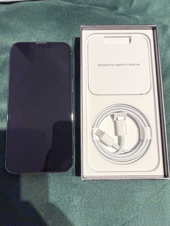 iPhone iPhone 13 Pro 256GB docomo（スマホ）の商品画像 - 査定依頼日：2026年6月15日 - 最高査定価格：55,000円