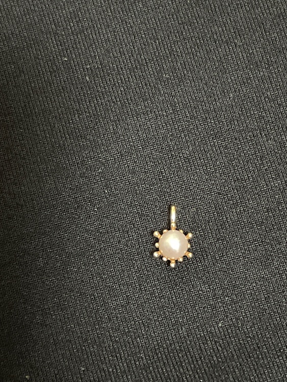 アガットネックレスチャーム（金・貴金属）の商品画像 - 査定依頼日：2026年3月5日 - 最高査定価格：15,000円