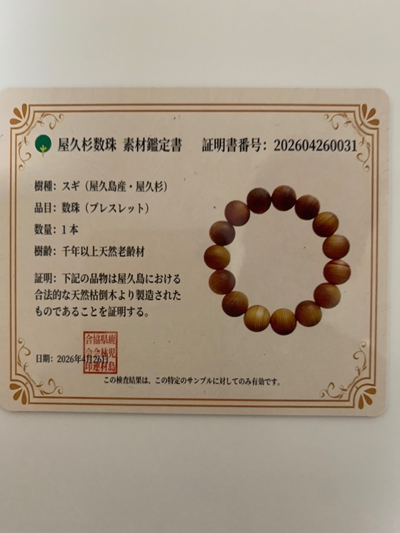 ブレスレット（美術品・骨董品）の商品画像 - 査定依頼日：2026年7月24日 - 最高査定価格：500円