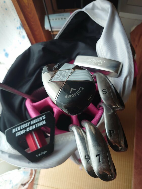 Callaway　レディース（ゴルフ用品）の商品画像 - 査定依頼日：2026年9月29日 - 最高査定価格：10,000円