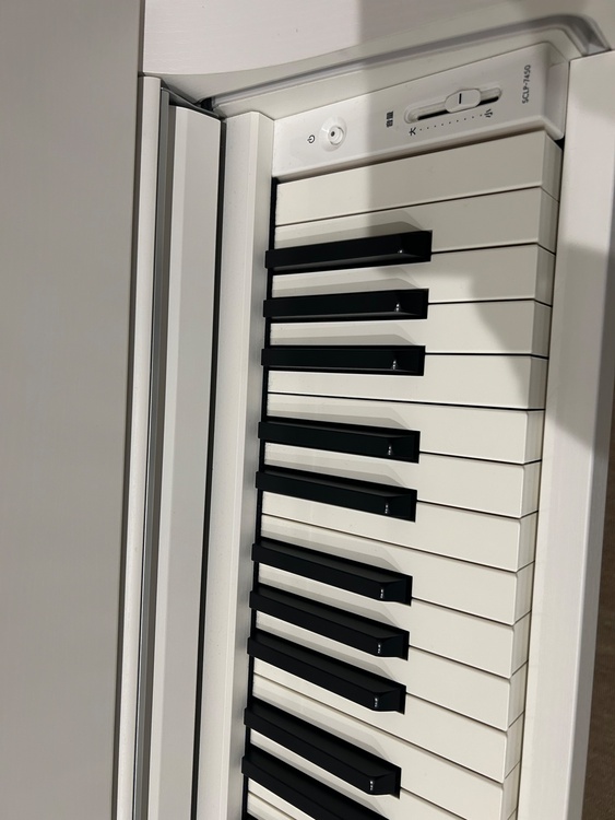 SCLP-7450（ピアノ・楽器・PA機材）の商品画像 - 査定依頼日：2026年2月28日 - 最高査定価格：35,000円