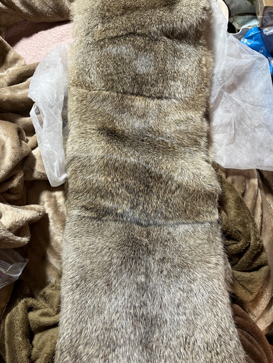 ルイヴィトン ルイヴィトン(その他) （ブランドバッグ）の商品画像 - 査定依頼日：2026年2月10日 - 最高査定価格：105,000円