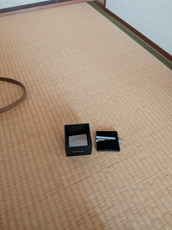 ネクタイピン（古着・ファッション）の商品画像 - 査定依頼日：2026年9月11日 - 最高査定価格：1,000円