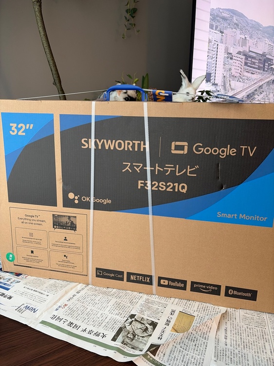 Google TVF32S21Q（家電）の商品画像 - 査定依頼日：2026年4月28日 - 最高査定価格：4,000円
