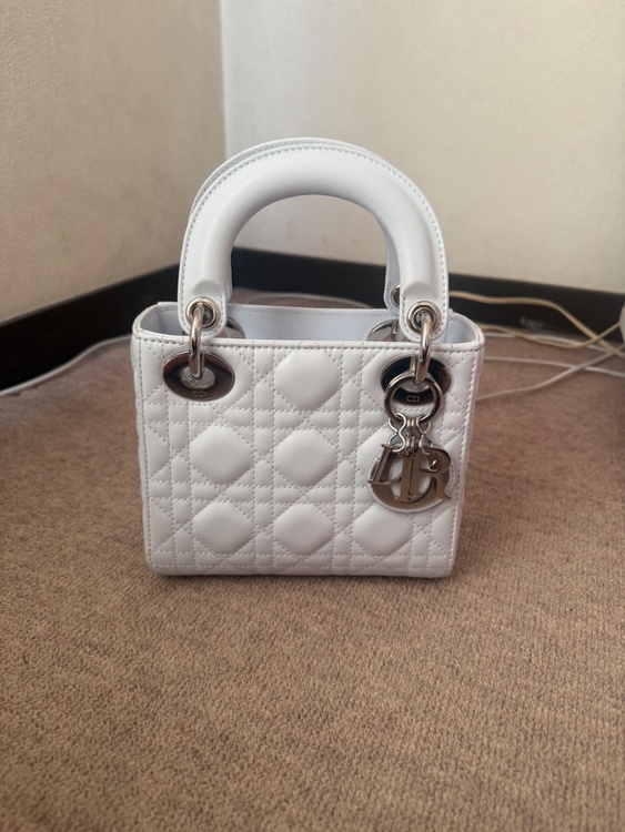 レディディオール（ブランドバッグ）の商品画像 - 査定依頼日：2026年2月24日 - 最高査定価格：330,000円