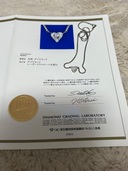 ハートシェイプダイヤモンドネックレス（宝石）の商品画像 - 査定依頼日：2025年11月27日 - 最高査定価格：100,000円