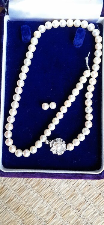 ネックレス（宝石）の商品画像 - 査定依頼日：2026年3月30日 - 最高査定価格：100円