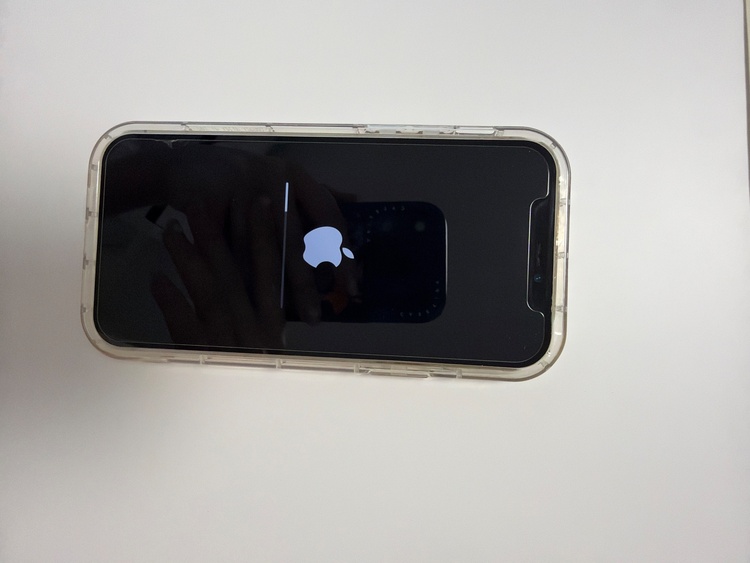 iPhone iPhone 12 Pro 128GB docomo（スマホ）の商品画像 - 査定依頼日：2026年10月17日 - 最高査定価格：31,000円