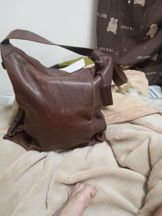 その他 その他 （ブランドバッグ）の商品画像 - 査定依頼日：2025年12月26日 - 最高査定価格：100,000円