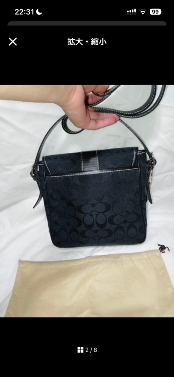 その他 コーチ （ブランドバッグ）の商品画像 - 査定依頼日：2025年12月17日 - 最高査定価格：3,000円