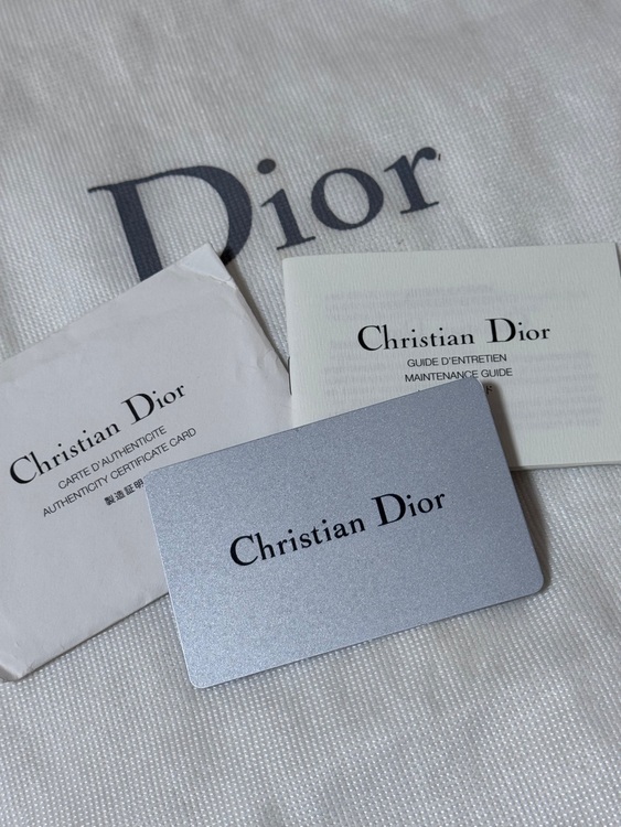 クリスチャンディオール カナージュ パナレア（ブランドバッグ）の商品画像 - 査定依頼日：2025年8月20日 - 最高査定価格：50,000円