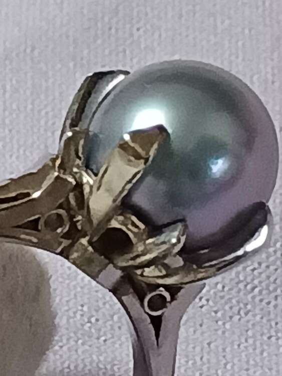 真珠指輪（金・貴金属）の商品画像 - 査定依頼日：2025年5月24日 - 最高査定価格：15,000円