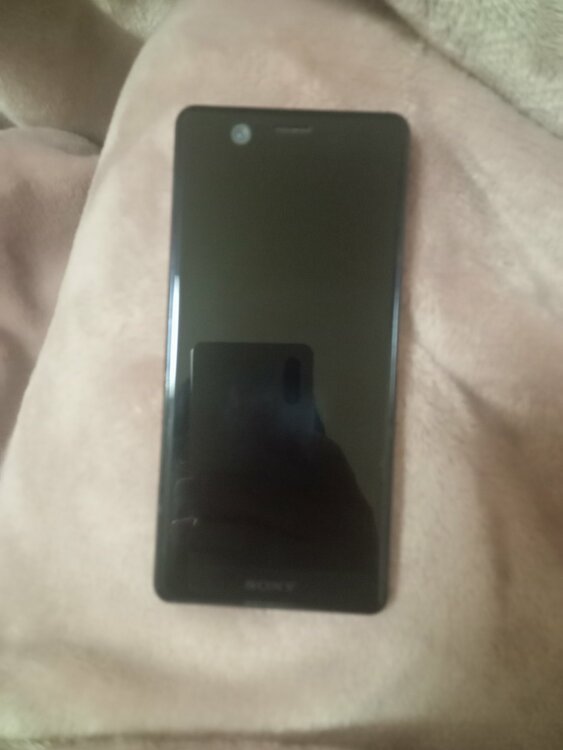 SONYエクスペリアso-02L（スマホ）の商品画像 - 査定依頼日：2026年3月17日 - 最高査定価格：100,000円