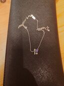 2024年限定ネックレス（金・貴金属）の商品画像 - 査定依頼日：2025年8月29日 - 最高査定価格：11,000円