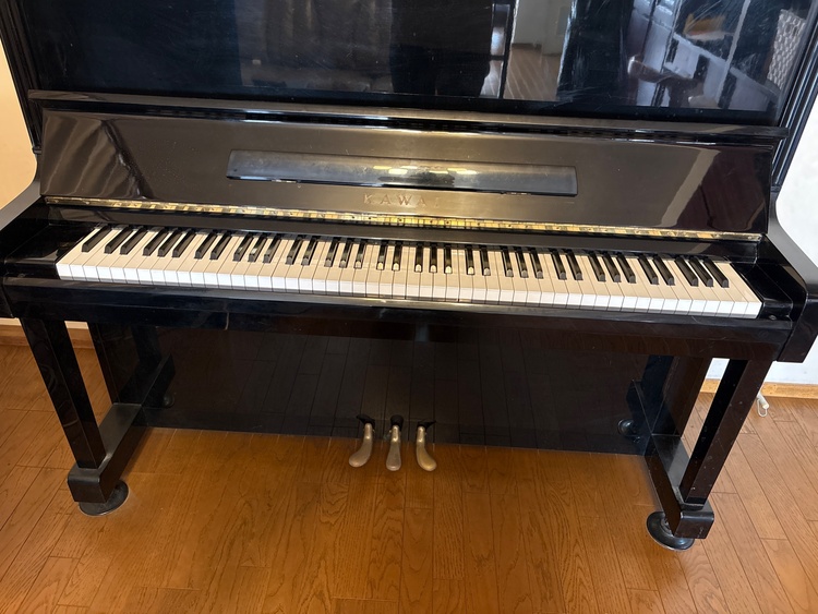 BL31（ピアノ・楽器・PA機材）の商品画像 - 査定依頼日：2026年2月28日 - 最高査定価格：10,000円