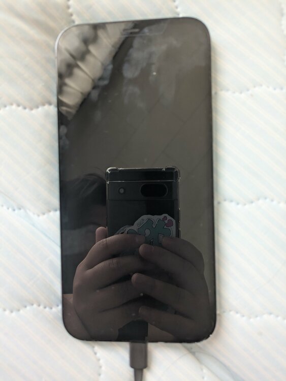 iPhone iPhone 13 Pro Max 128GB Softbank（スマホ）の商品画像 - 査定依頼日：2026年9月23日 - 最高査定価格：61,000円