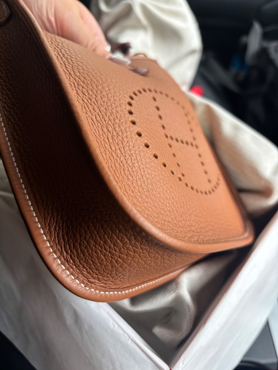 エヴリン tpm（ブランドバッグ）の商品画像 - 査定依頼日：2025年10月25日 - 最高査定価格：370,000円