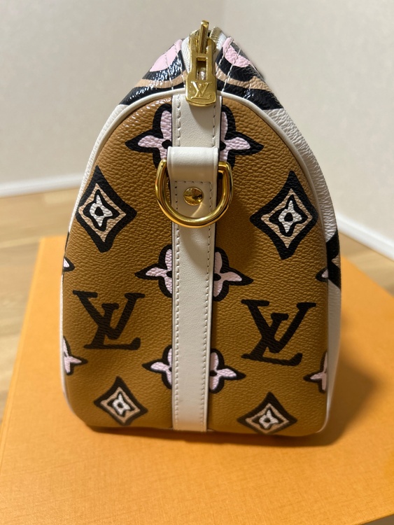 ルイヴィトン スピーディー （ブランドバッグ）の商品画像 - 査定依頼日：2025年12月24日 - 最高査定価格：250,000円