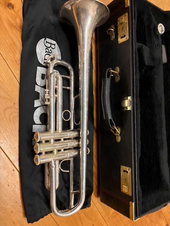 180ML37SP（ピアノ・楽器・PA機材）の商品画像 - 査定依頼日：2026年4月6日 - 最高査定価格：130,000円