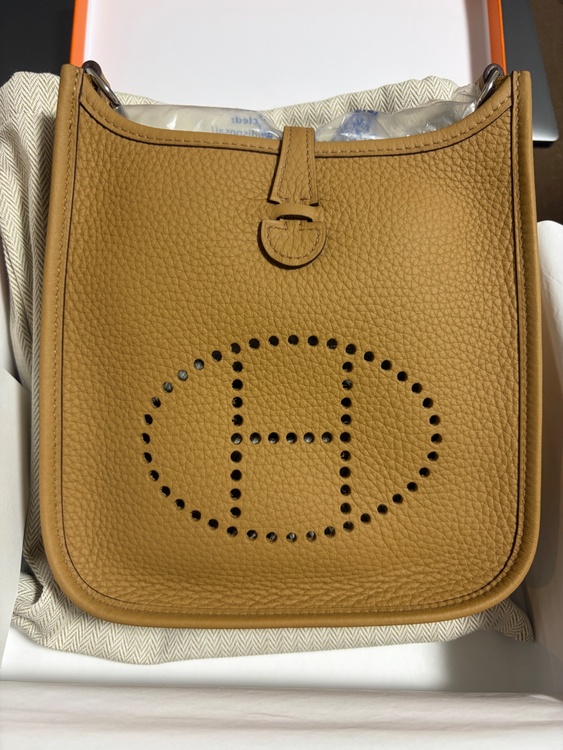 エブリン16アマゾーヌ　ビスキュイ（ブランドバッグ）の商品画像 - 査定依頼日：2026年1月20日 - 最高査定価格：350,000円