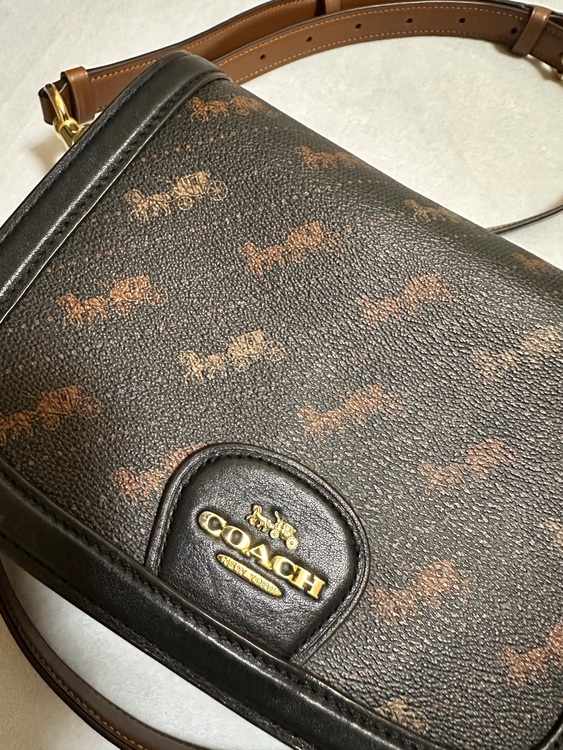  COACH ホース アンド キャリッジ （ブランドバッグ）の商品画像 - 査定依頼日：2025年9月26日 - 最高査定価格：2,000円