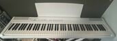 P-105WH（ピアノ・楽器・PA機材）の商品画像 - 査定依頼日：2025年9月13日 - 最高査定価格：3,000円