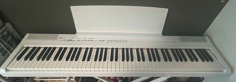 P-105WH（ピアノ・楽器・PA機材）の商品画像 - 査定依頼日：2025年9月13日 - 最高査定価格：3,000円