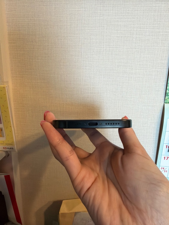 iPhone iPhone 16 Pro Max 256GB SIMフリー（スマホ）の商品画像 - 査定依頼日：2026年6月19日 - 最高査定価格：132,500円