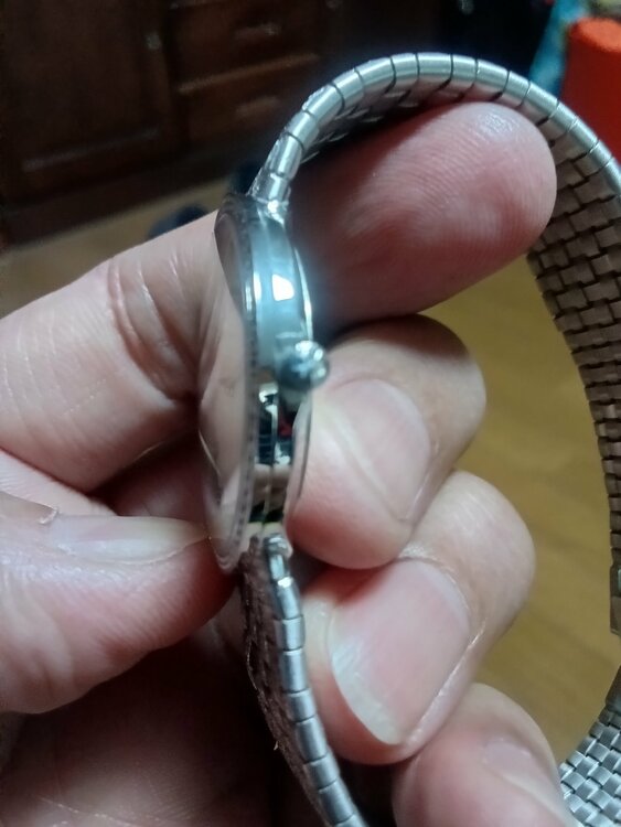 ヴァシュロン コンスタンタン その他 メッシュ（高級時計）の商品画像 - 査定依頼日：2026年4月17日 - 最高査定価格：1,500,000円