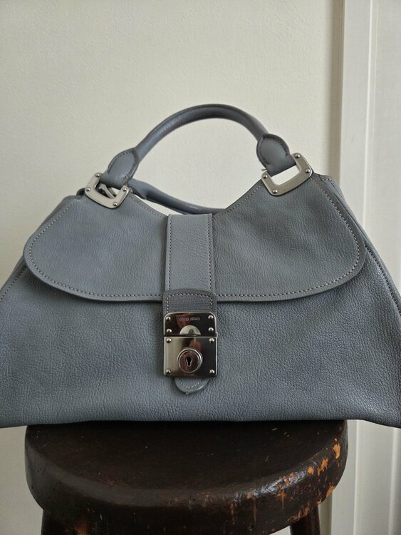 ミュウミュウ  （ブランドバッグ）の商品画像 - 査定依頼日：2026年2月5日 - 最高査定価格：50,000円