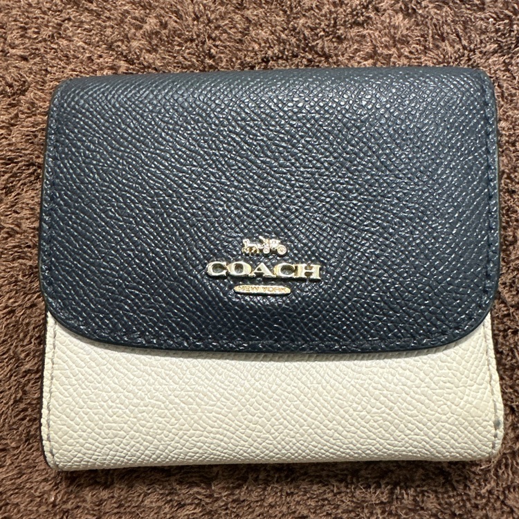 その他 コーチ （ブランドバッグ）の商品画像 - 査定依頼日：2025年9月17日 - 最高査定価格：1,000円