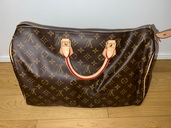 ルイヴィトン スピーディー （ブランドバッグ）の商品画像 - 査定依頼日：2025年10月31日 - 最高査定価格：100,000円