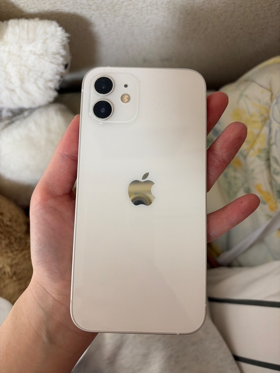 iPhone 12 256GB SIMフリー（スマホ）の商品画像 - 査定依頼日：2026年4月30日 - 最高査定価格：35,000円