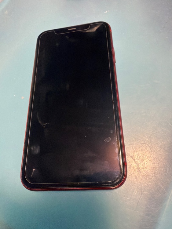 iPhone iPhone11 64GB au（スマホ）の商品画像 - 査定依頼日：2026年9月23日 - 最高査定価格：19,500円